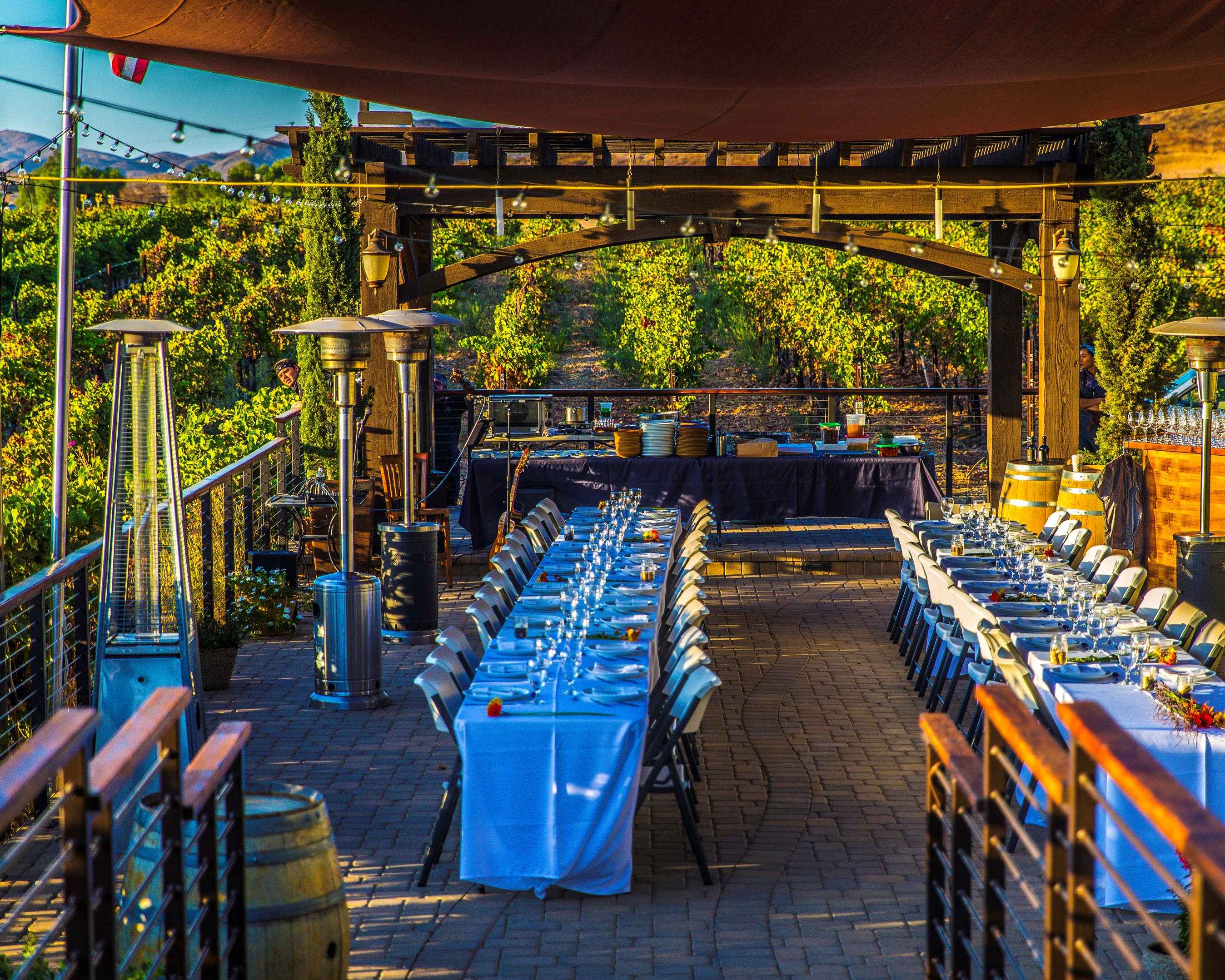 Chapin Family Vineyards