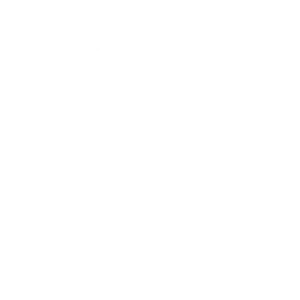 Chapin Family Vineyards logo white