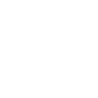 Chapin Family Vineyards Logo (Link to homepage)